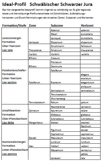 idealprofil-schwaebischer-schwarzjura