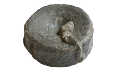 Wirbel von einem Ichthyosaurier